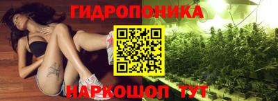 apvp Тара