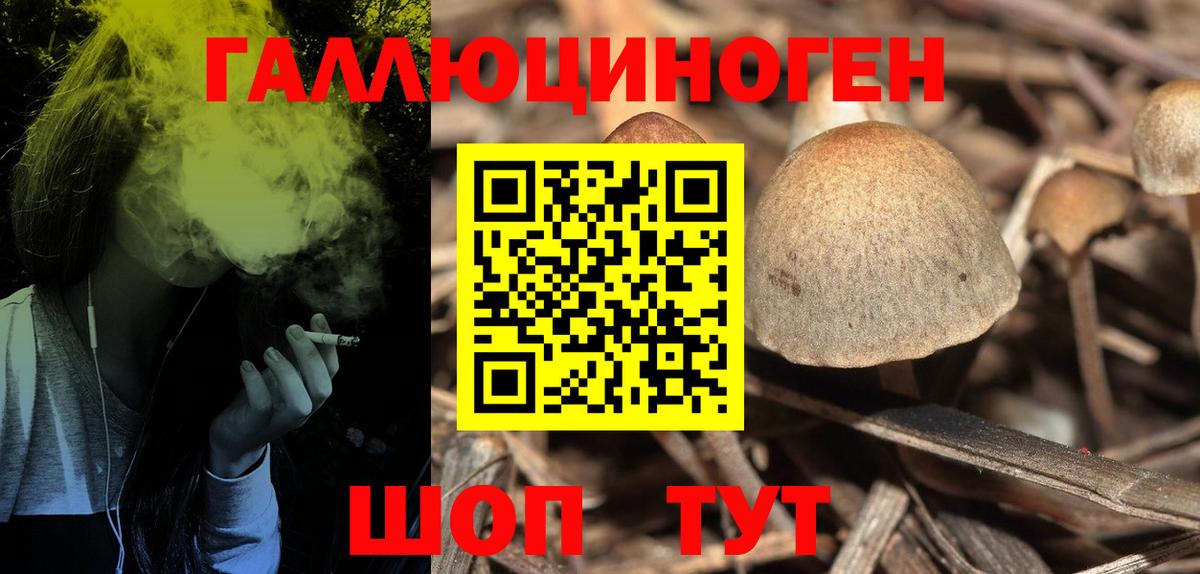 Новошахтинск  купить наркоту  Вход с VPN  Галлюциногенные грибы Cubensis 